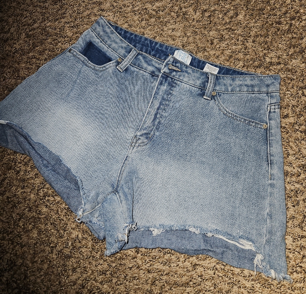 Time and Tru Light Blue Distressed Denim Shorts